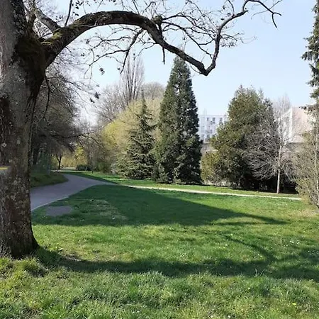 L'oblique Dijon